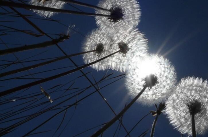 名人名言经典摘抄