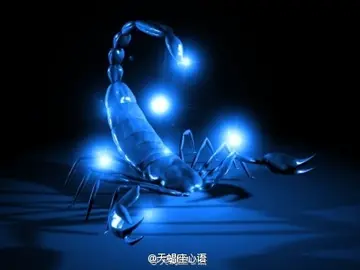天蝎女名言