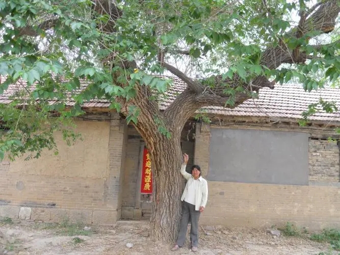 小时候住过的地方感言