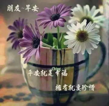 朋友友谊问候祝福语