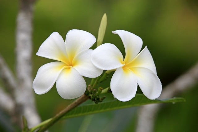 初一句子文案翻译题