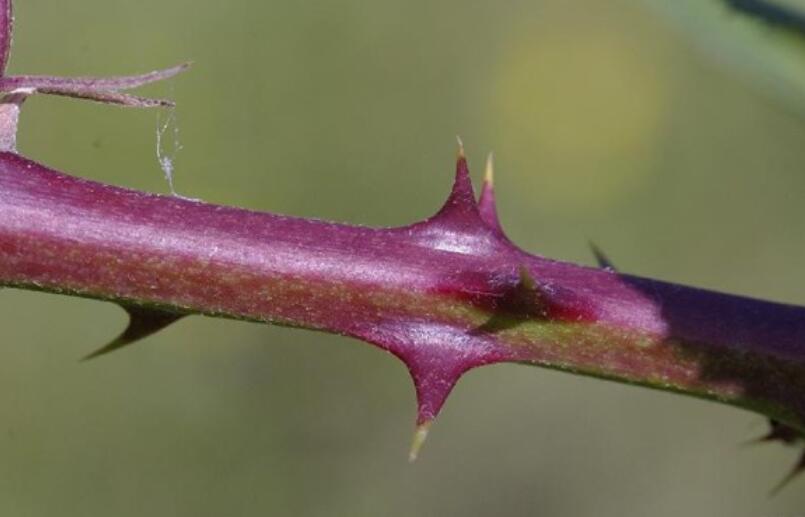 描写心情失落的好段