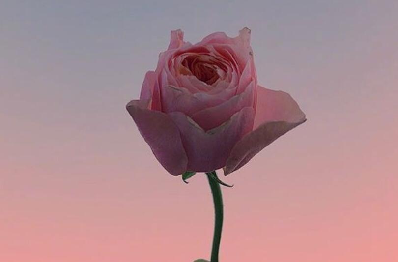 清晨的说说唯美句子文案