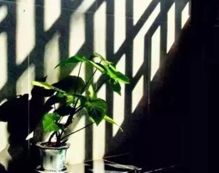 用住所写一句话