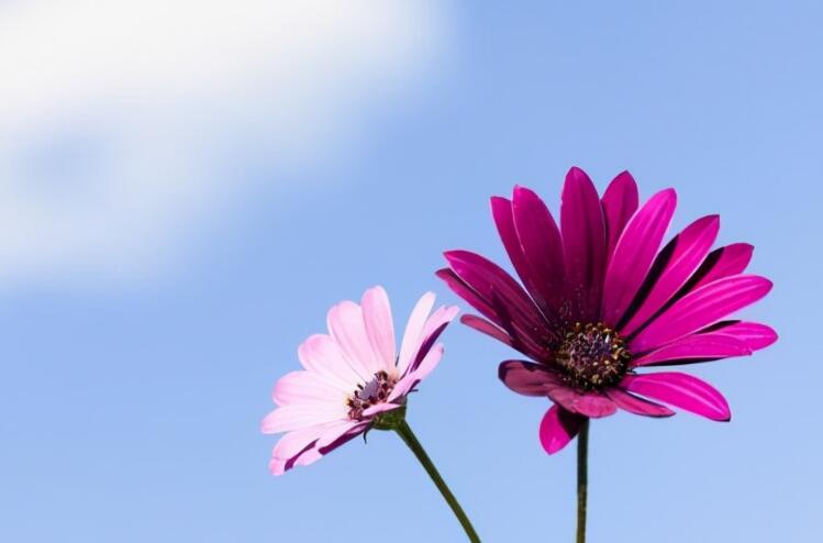 快手励志句子文案最热2024