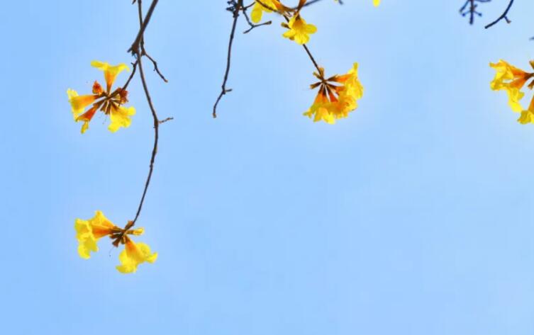 形容美好的诗句文案