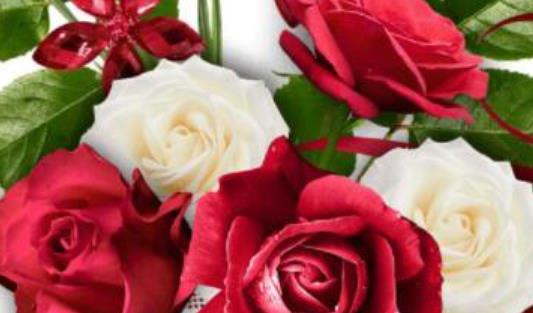 人生感悟爱情句子文案