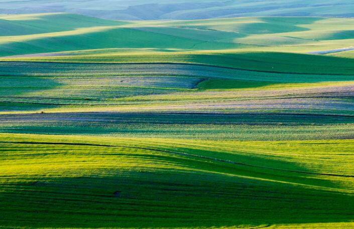 世界上最经典的短句