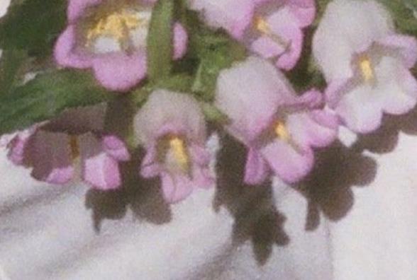 说给讨厌的人经典语句文案