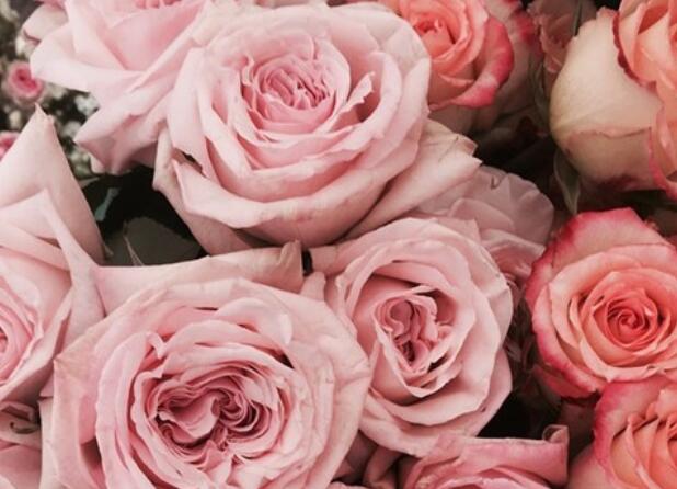 用因为写一个句子文案