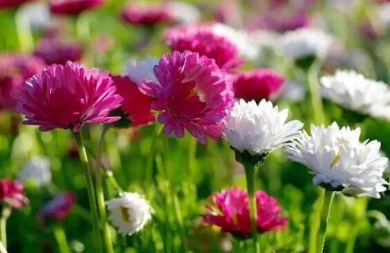 心情烦的说说文案发朋友圈