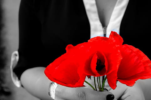 结婚纪念日说说文案