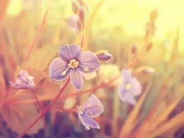 伤自尊和寒心了的说说文案