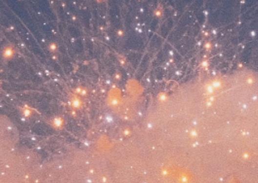 傻得可爱的句子文案