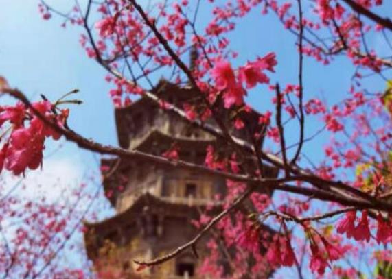 公园一游心情好的说说文案