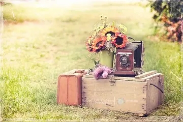 描写景色的优美句子文案摘抄