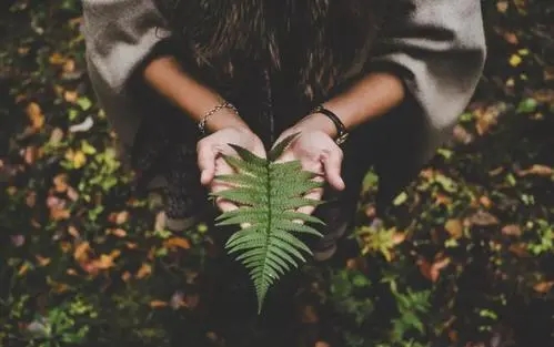 简单的爱情英文句子文案