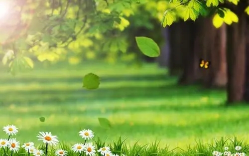 赞美春雷的优美句子文案