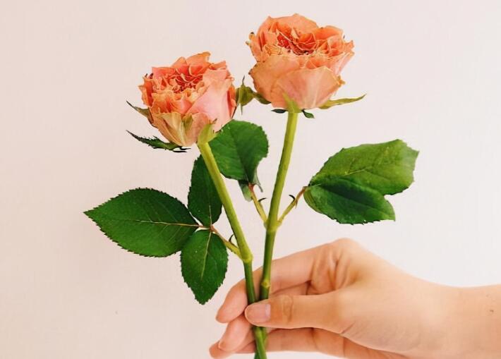 秀恩爱的短句6个字