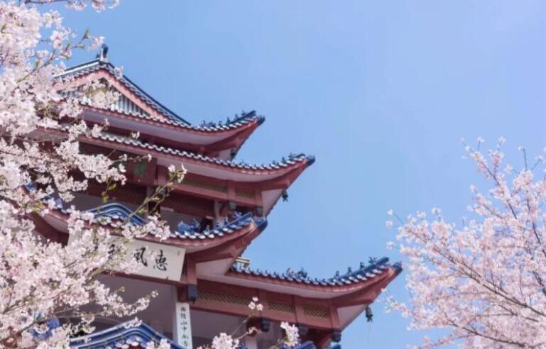 表达感谢之情的古诗词