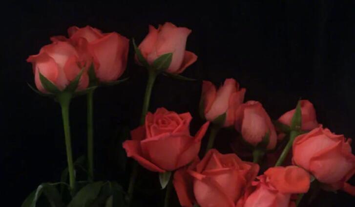 凌晨唯美句子文案简短的