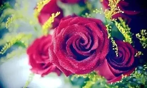 感悟人生大实话