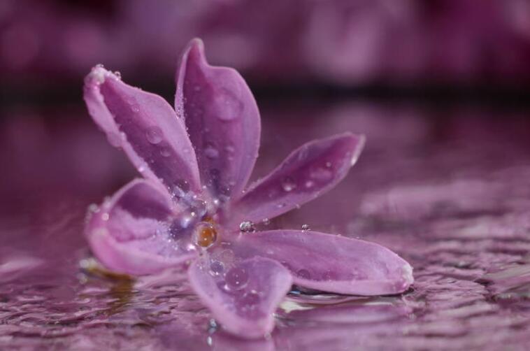 喜欢怎么去表达的句子文案