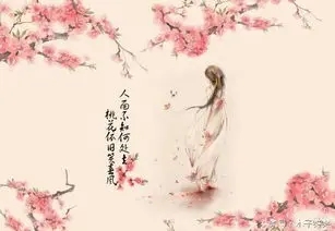 带惊鸿的古风句子文案