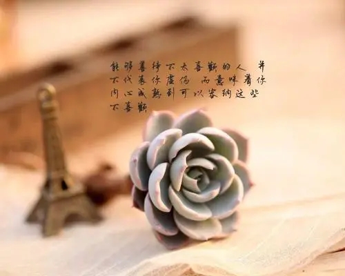 发朋友圈最好的经典句子文案