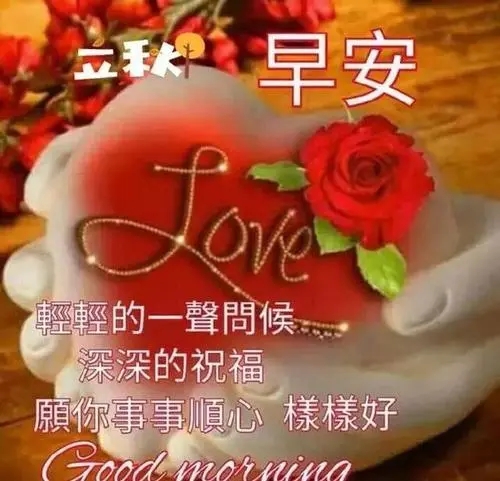 每日温馨问候短信