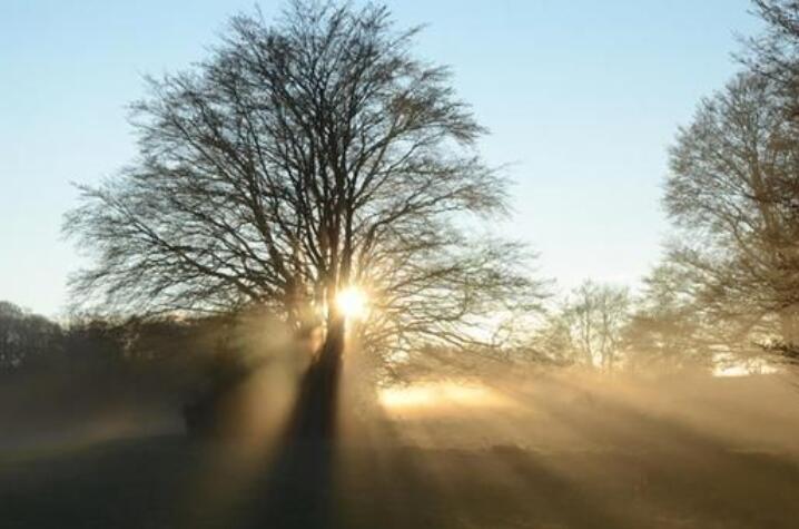 小学生比喻句摘抄