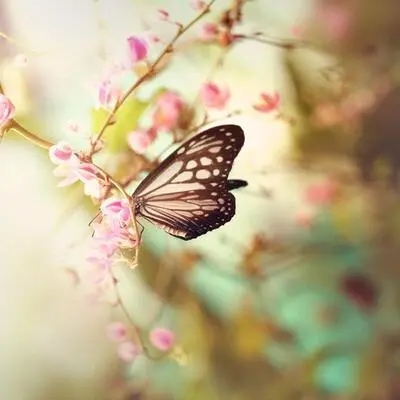 关系破裂的说说文案短句