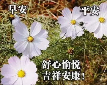 2021最新短句暖心