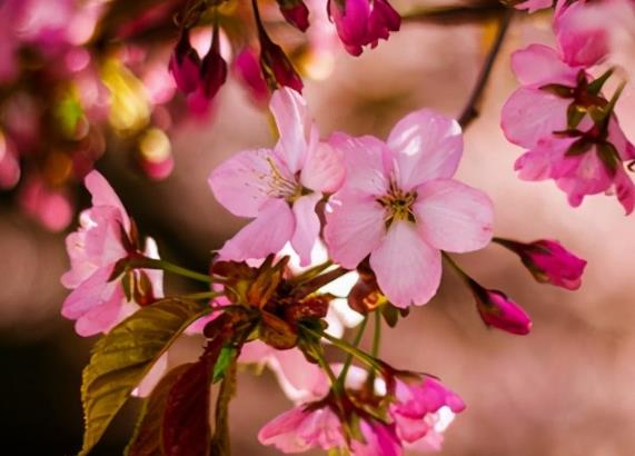 激励自己的句子文案