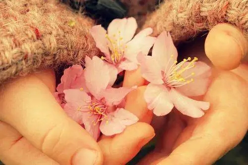 带有清欢的优美句子文案