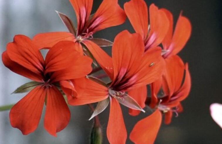 走路说说文案心情短语