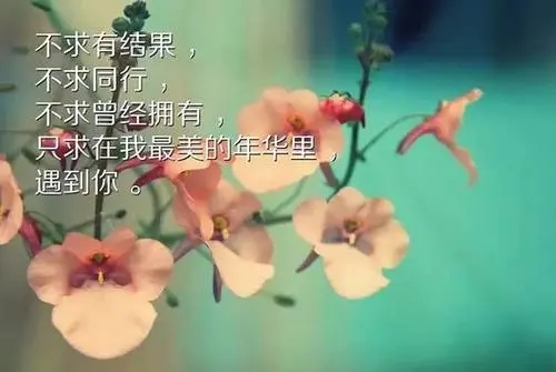 发朋友圈的励志激励句子文案