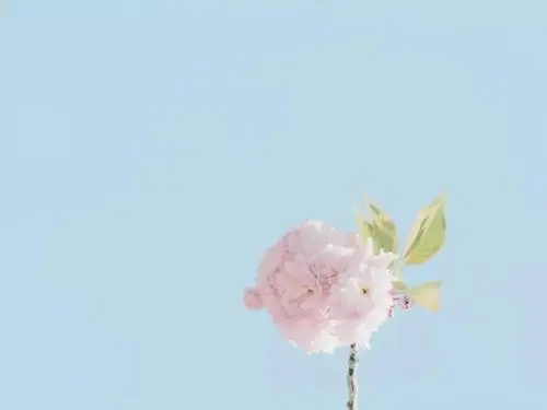 过于追求完美的说说文案