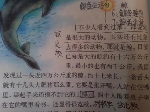 举例子的句子文案