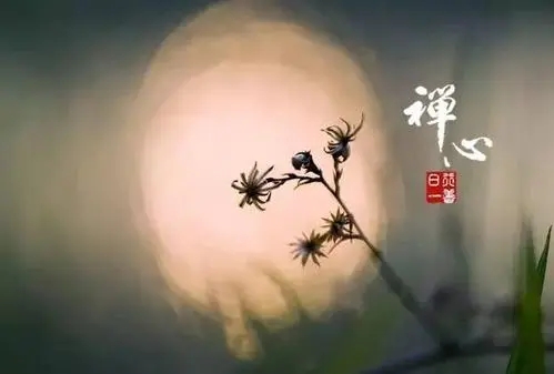 心灵富足的美好句子文案