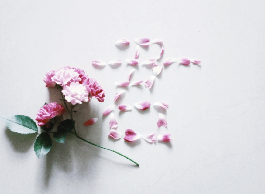 王昭君的经典语录文案