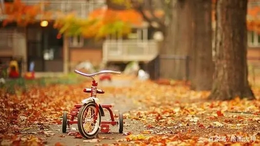 怀念从小长大生活的老家句子文案