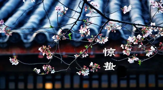 关于惊蛰的优美句子文案