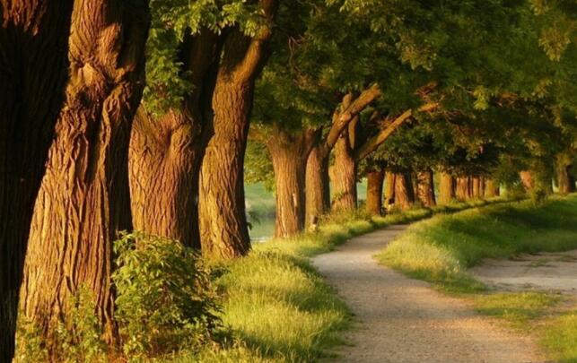 非常抑郁的句子文案