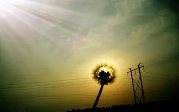 鼓励自己坚持的一句话