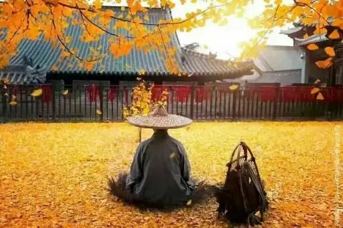 出家人看破红尘的话语