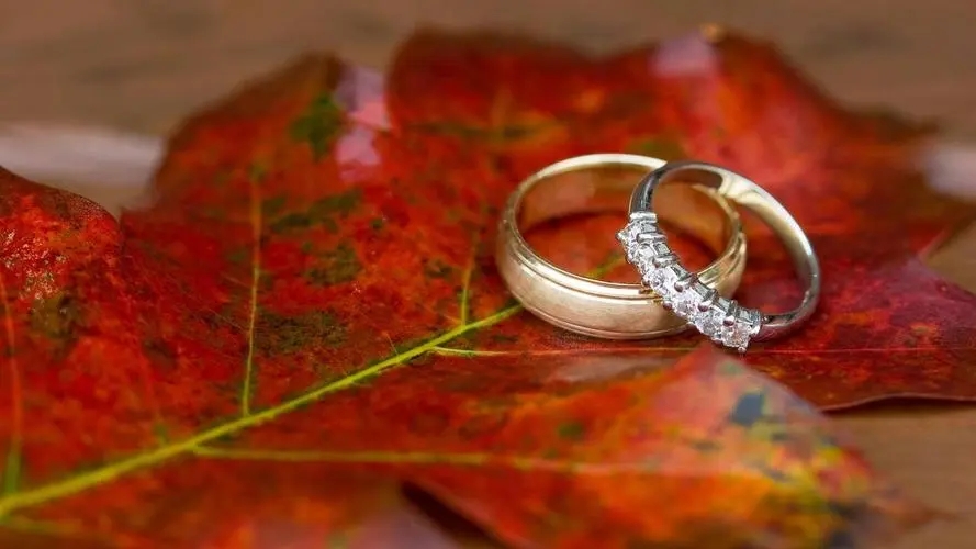 八字爱情诗句文案爱情的八字短句