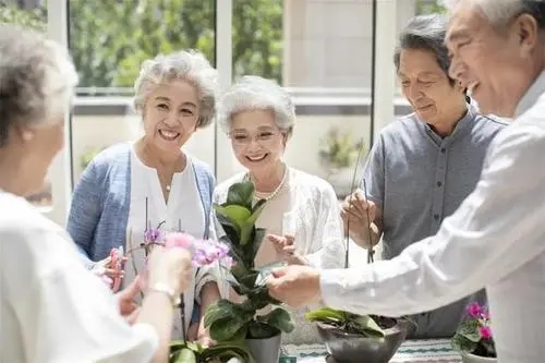 赞美老人的诗句文案