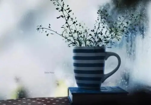 感悟人生大实话