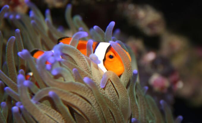 发表唱歌的心情短语